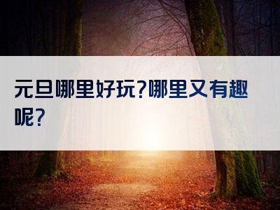 元旦哪里好玩？哪里又有趣呢？