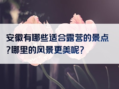 安徽有哪些适合露营的景点？哪里的风景更美呢？