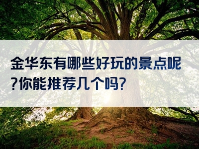 金华东有哪些好玩的景点呢？你能推荐几个吗？