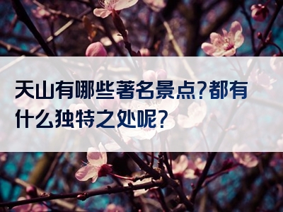 天山有哪些著名景点？都有什么独特之处呢？