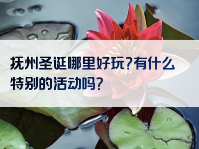 抚州圣诞哪里好玩？有什么特别的活动吗？