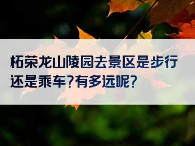 柘荣龙山陵园去景区是步行还是乘车？有多远呢？