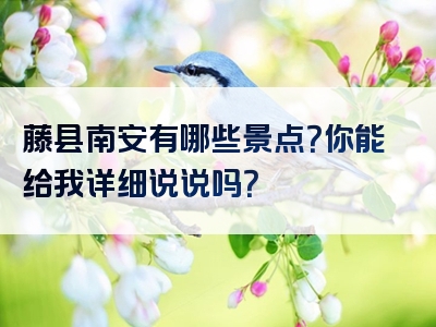 藤县南安有哪些景点？你能给我详细说说吗？