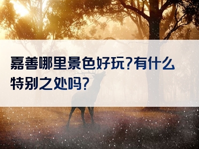 嘉善哪里景色好玩？有什么特别之处吗？