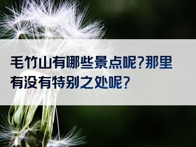 毛竹山有哪些景点呢？那里有没有特别之处呢？