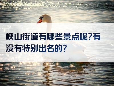 峡山街道有哪些景点呢？有没有特别出名的？