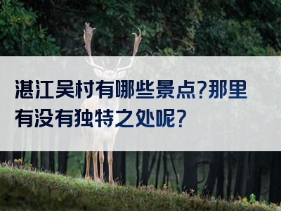 湛江吴村有哪些景点？那里有没有独特之处呢？
