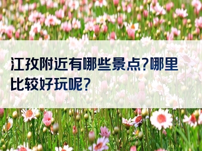 江孜附近有哪些景点？哪里比较好玩呢？