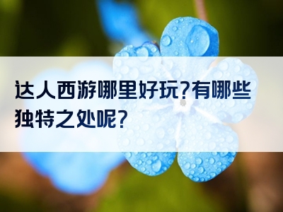 达人西游哪里好玩？有哪些独特之处呢？