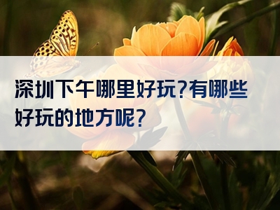 深圳下午哪里好玩？有哪些好玩的地方呢？