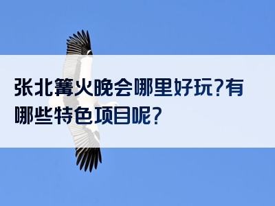 张北篝火晚会哪里好玩？有哪些特色项目呢？