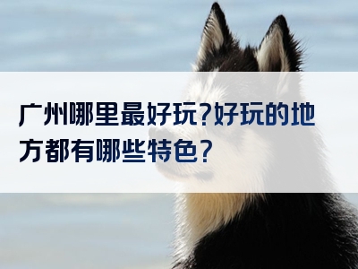 广州哪里最好玩？好玩的地方都有哪些特色？