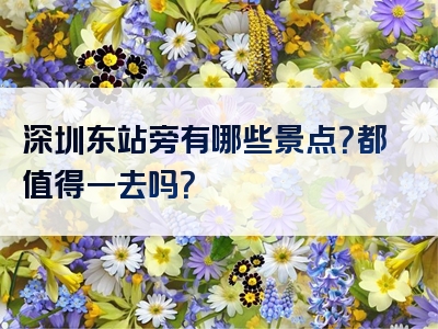 深圳东站旁有哪些景点？都值得一去吗？