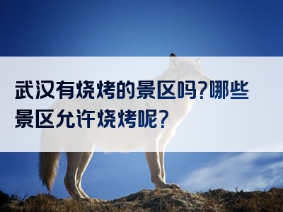 武汉有烧烤的景区吗？哪些景区允许烧烤呢？