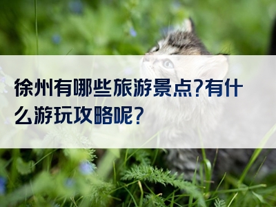 徐州有哪些旅游景点？有什么游玩攻略呢？