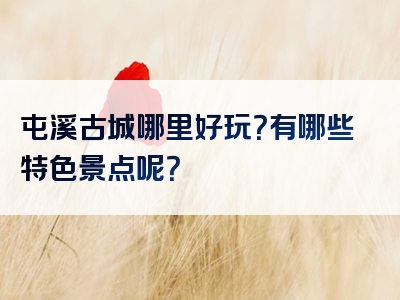 屯溪古城哪里好玩？有哪些特色景点呢？