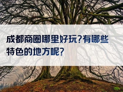 成都商圈哪里好玩？有哪些特色的地方呢？