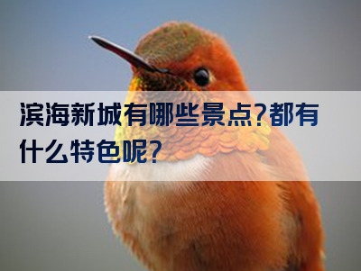 滨海新城有哪些景点？都有什么特色呢？