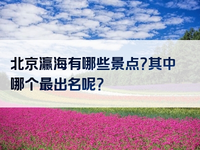 北京瀛海有哪些景点？其中哪个最出名呢？