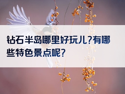 钻石半岛哪里好玩儿？有哪些特色景点呢？