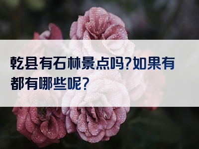 乾县有石林景点吗？如果有都有哪些呢？