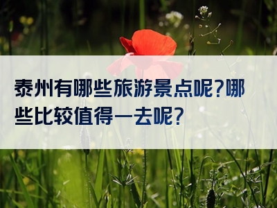 泰州有哪些旅游景点呢？哪些比较值得一去呢？