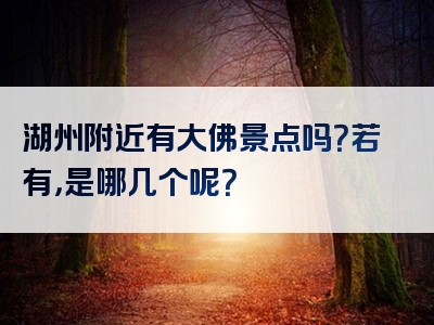 湖州附近有大佛景点吗？若有，是哪几个呢？