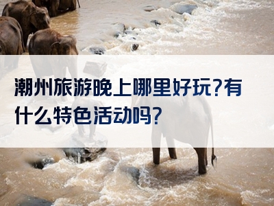 潮州旅游晚上哪里好玩？有什么特色活动吗？