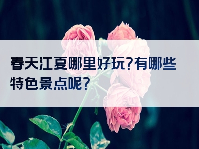春天江夏哪里好玩？有哪些特色景点呢？