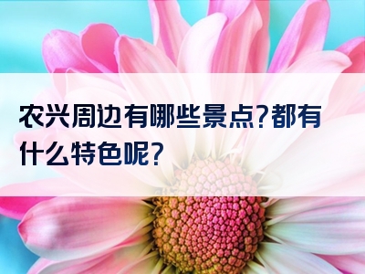 农兴周边有哪些景点？都有什么特色呢？
