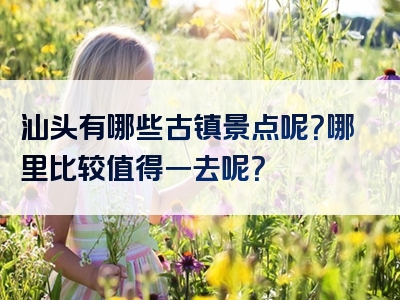 汕头有哪些古镇景点呢？哪里比较值得一去呢？