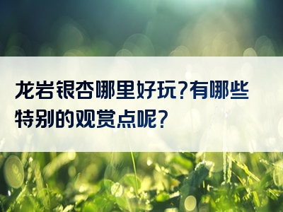 龙岩银杏哪里好玩？有哪些特别的观赏点呢？