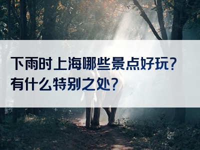 下雨时上海哪些景点好玩？有什么特别之处？