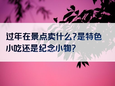 过年在景点卖什么？是特色小吃还是纪念小物？