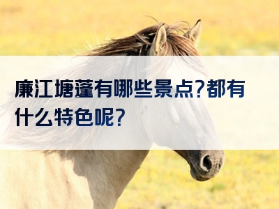 廉江塘蓬有哪些景点？都有什么特色呢？