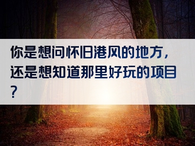 你是想问怀旧港风的地方，还是想知道那里好玩的项目？