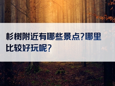 杉树附近有哪些景点？哪里比较好玩呢？