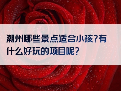 潮州哪些景点适合小孩？有什么好玩的项目呢？