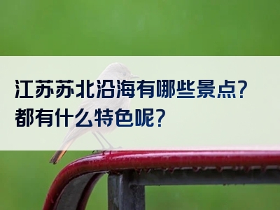 江苏苏北沿海有哪些景点？都有什么特色呢？