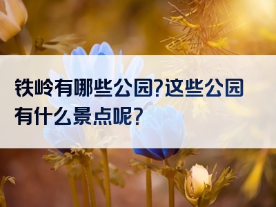 铁岭有哪些公园？这些公园有什么景点呢？