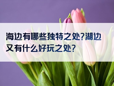 海边有哪些独特之处？湖边又有什么好玩之处？