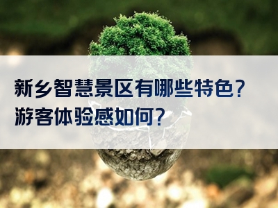 新乡智慧景区有哪些特色？游客体验感如何？