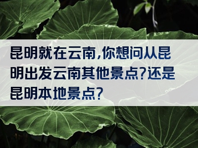 昆明就在云南，你想问从昆明出发云南其他景点？还是昆明本地景点？