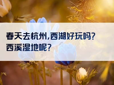 春天去杭州，西湖好玩吗？西溪湿地呢？