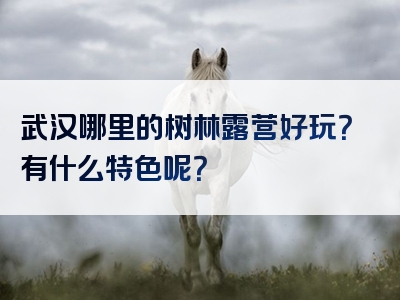 武汉哪里的树林露营好玩？有什么特色呢？