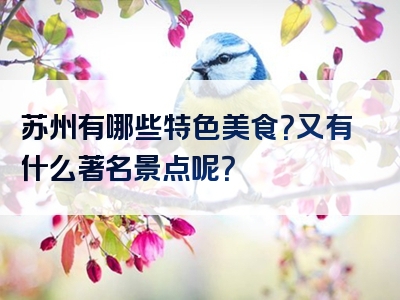 苏州有哪些特色美食？又有什么著名景点呢？
