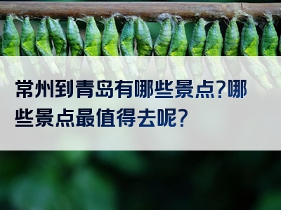 常州到青岛有哪些景点？哪些景点最值得去呢？