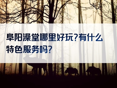 阜阳澡堂哪里好玩？有什么特色服务吗？
