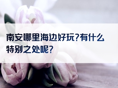 南安哪里海边好玩？有什么特别之处呢？