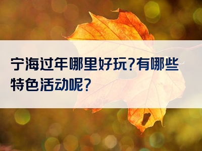 宁海过年哪里好玩？有哪些特色活动呢？